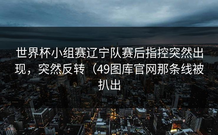 世界杯小组赛辽宁队赛后指控突然出现，突然反转（49图库官网那条线被扒出