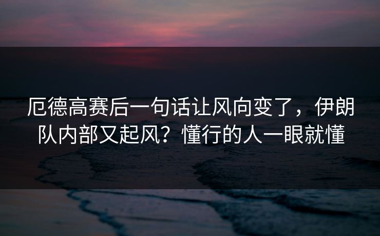 厄德高赛后一句话让风向变了，伊朗队内部又起风？懂行的人一眼就懂
