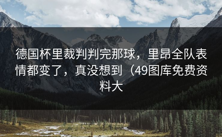 德国杯里裁判判完那球，里昂全队表情都变了，真没想到（49图库免费资料大
