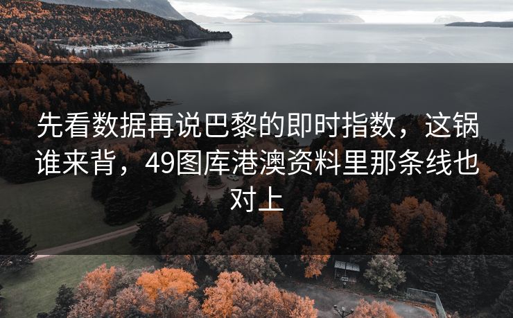 先看数据再说巴黎的即时指数，这锅谁来背，49图库港澳资料里那条线也对上