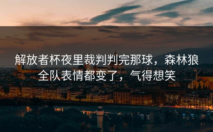 解放者杯夜里裁判判完那球，森林狼全队表情都变了，气得想笑