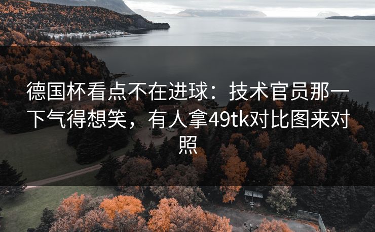 德国杯看点不在进球：技术官员那一下气得想笑，有人拿49tk对比图来对照